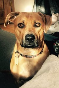 Rosie Facarile  