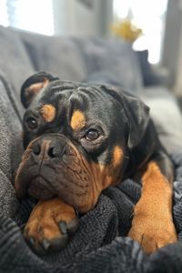 Nash Baiza  