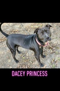 Daisy Portalatin  