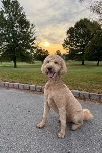 Buddy Grayson Billings  