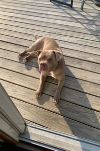Diesel James   
