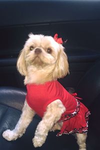 Foxy Hopkins  