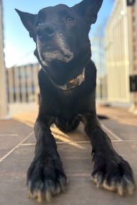 Jax Gardella   