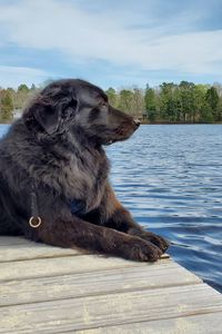 Finnegan Foglio-Moss  