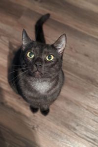 Jiji Buchanan   