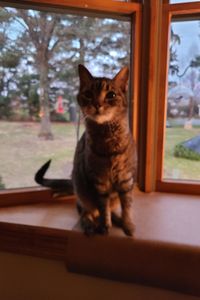 Luna Donhauser  