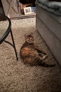 Nala Gluch  