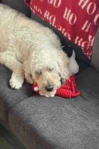 Big Guy Cooper  