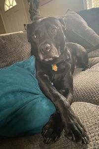 Duke Myers  