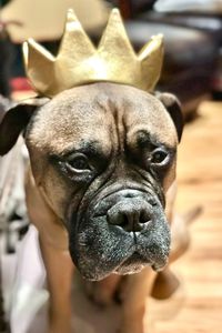 Bruiser Kanda  