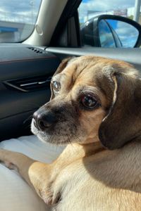 Maggie May Berkowitz  