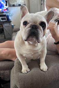 Lilian Rose  