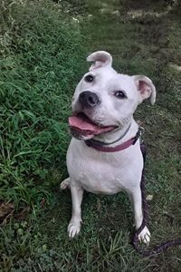 Nola Curley  