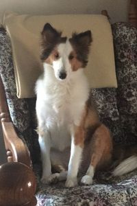 Zoey Gadoury  