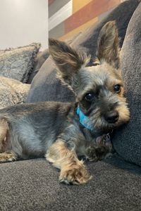 Pebbles Easterling  