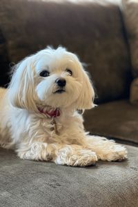 Teddy Kanbar  