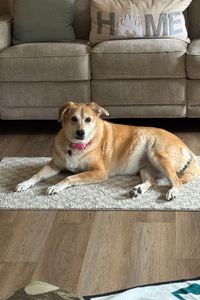 Belle Ravenel  