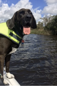 Duke Brinkley  