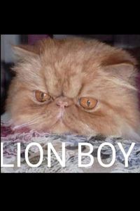 Lionboy Shubert  