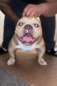 Rocko Brown  