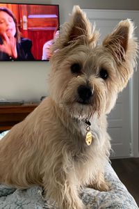 Bonnie Rae Vicario  