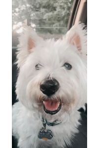 Minnie Kelly  
