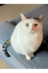 Lola Sims  