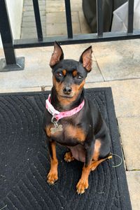 Peaches Greeley  