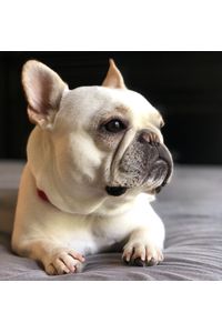 Oakley Lee  