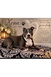 Xena Teal  