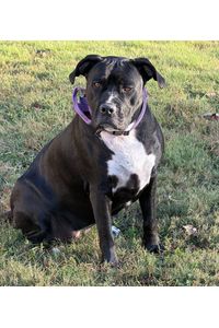 Luna Mae Kunellis  