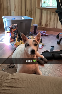 Bella Christopher  