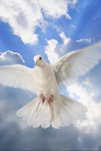 Mr. Charles B. Head Shamery Obituary, Aliceville, AL