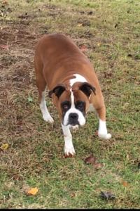Tyson  Easter  
