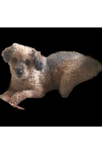 Tiny  Roessler  