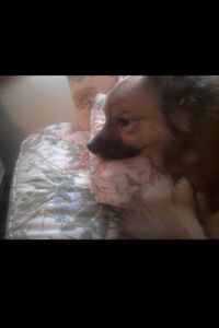 Tyson  Outly  