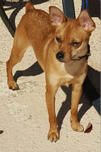 Caspian  Cienfuegos  