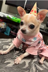 Stinkynus “Junior” Pedraza  