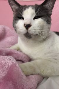 Mr.handsome  