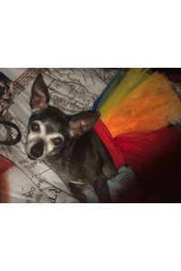 Minnie Moonpie  