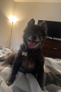 Charlie  