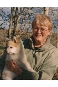 Marilyn Ayre Williams