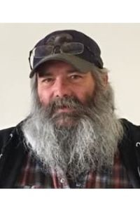 Kelly (Hairy)   Wold