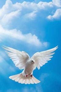 Korlin Corky I. Wunderlin