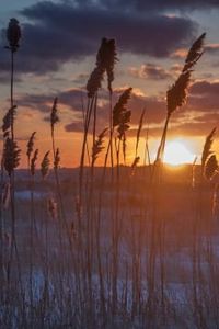 Joseph Charles St Pierre