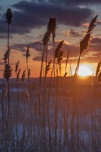 Peter Benjamin Gabarra