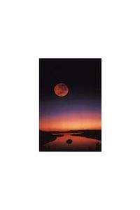 Timothy Alexander DeBisschop