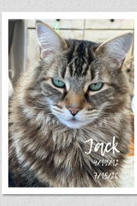 Jack  Medeiros