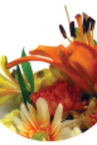 Ruth M (Bauer) Williamson