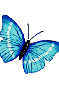 Phyllis E. (Palmer) Sherman